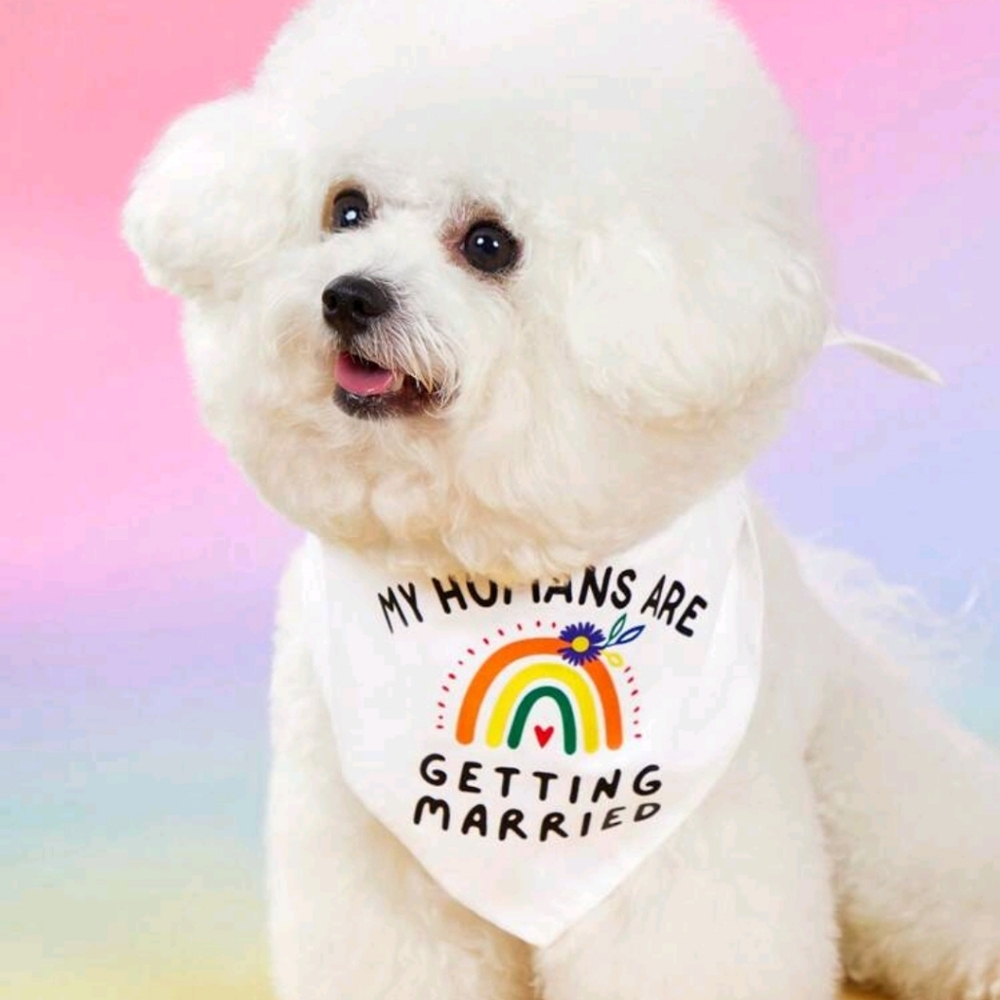 Pet wedding bandana one size